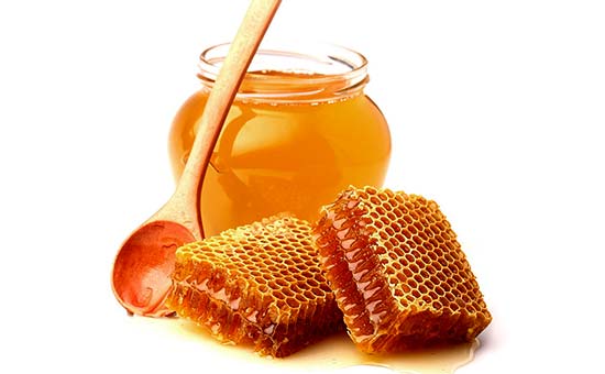 تولید عسل در سوریه